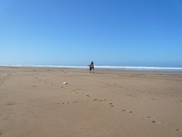 Sidi Kaouki Beach