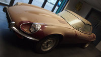 Family E-Type comes out of hiding after 25 years
