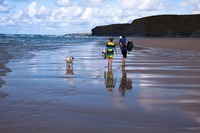 Family on beach