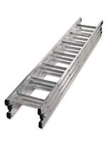 Tripple Extension Ladder