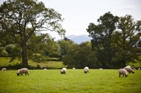 Malvern Hills