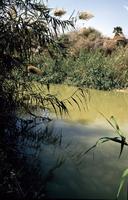 Jesus’ Baptism Site awarded UNESCO World Heritage status