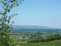 View from the restaurant