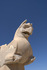 Persepolis Griffin