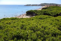 Rise in UK travellers to the Costa Daurada