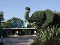 San Diego Zoo San Diego Zoo