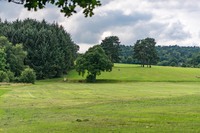 Cofton Park