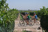 Cycling