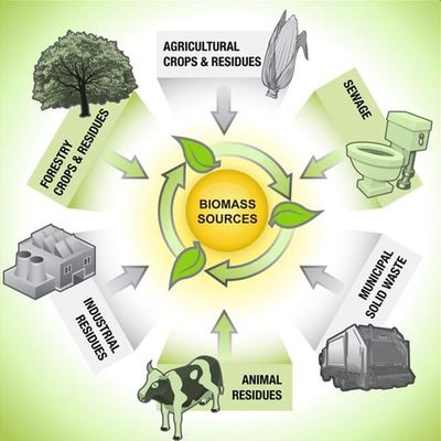 biomass