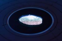 fingerprint authentication