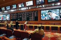 sports betting