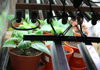 Choosing the right grow lights for your needs