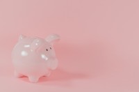 piggy bank piggy bank