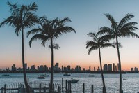 Popular cities that you need to visit in Florida