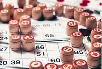 bingo bingo